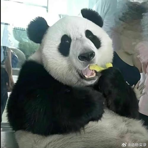 สมาชิกหมายเลข 6423108