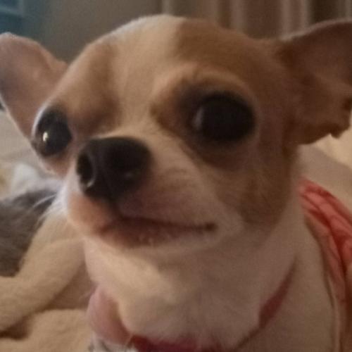 สมาชิกหมายเลข 8041775