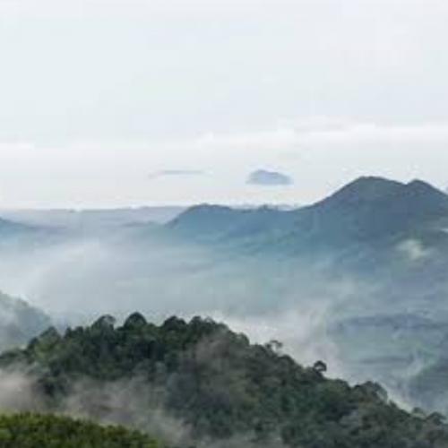 สมาชิกหมายเลข 6321571