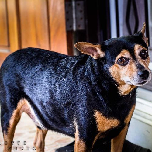 สมาชิกหมายเลข 2667419