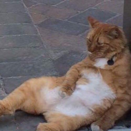 สมาชิกหมายเลข 4324538