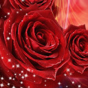 สมาชิกหมายเลข 4753824