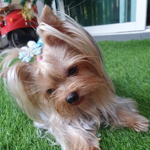 สมาชิกหมายเลข 5559065