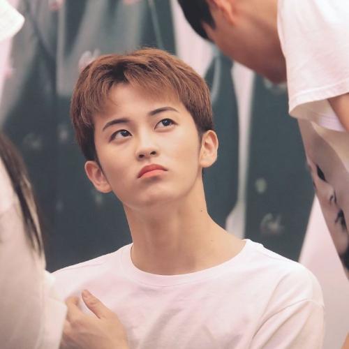 สมาชิกหมายเลข 5588728