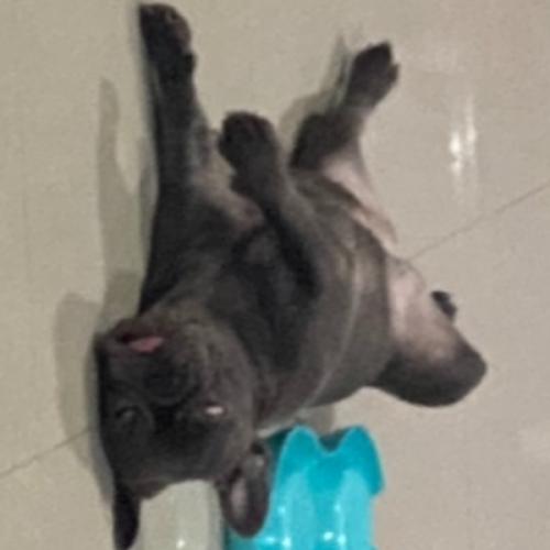 สมาชิกหมายเลข 1061341