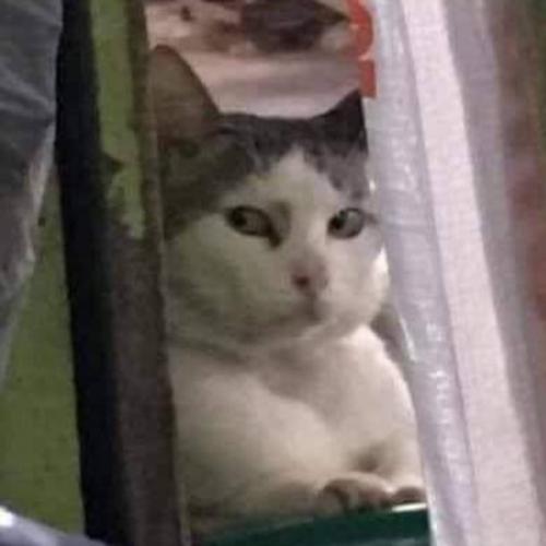 สมาชิกหมายเลข 6521904