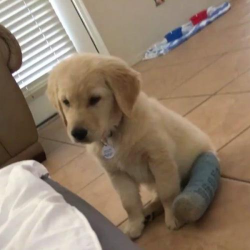 สมาชิกหมายเลข 3763529