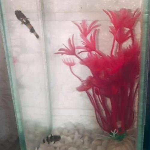 สมาชิกหมายเลข 6708736