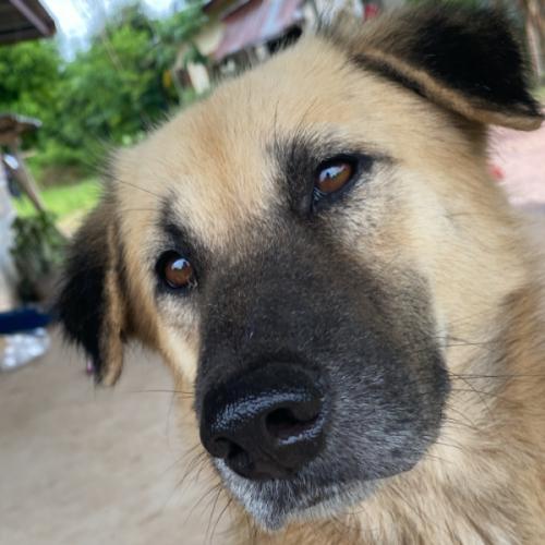 สมาชิกหมายเลข 7235861