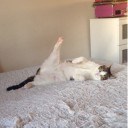 สมาชิกหมายเลข 3807125