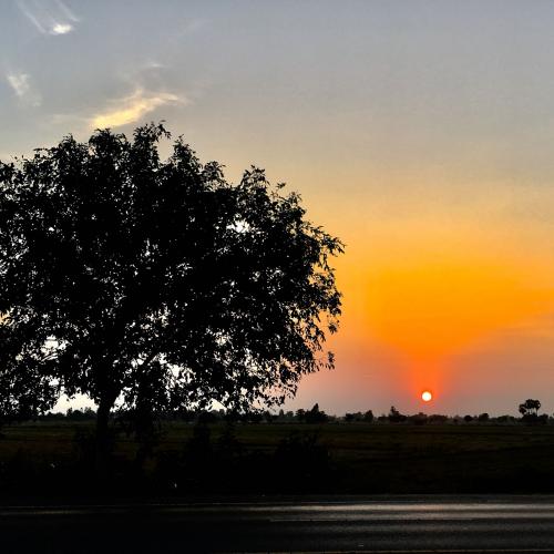 สมาชิกหมายเลข 1004271