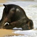 สมาชิกหมายเลข 3558597