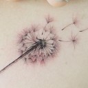 สมาชิกหมายเลข 4272224