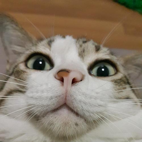 The Secret Life Of TraveleR