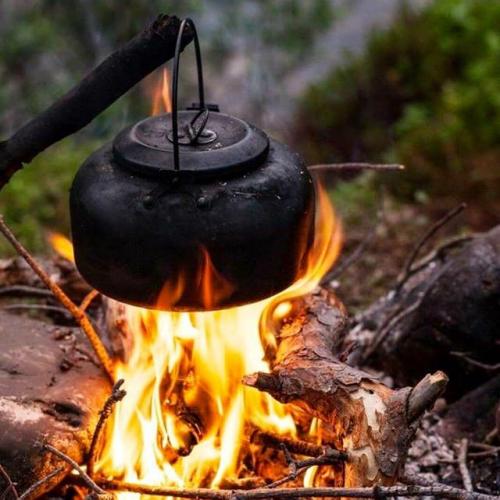 คนบ้านไพร