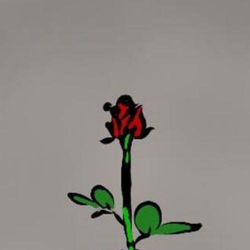 สมาชิกหมายเลข 5017406