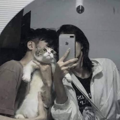 สมาชิกหมายเลข 4287315