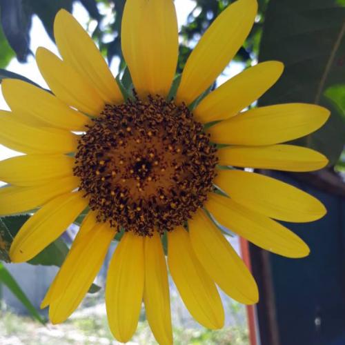 สมาชิกหมายเลข 4348772