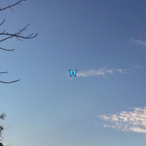 สมาชิกหมายเลข 5919649