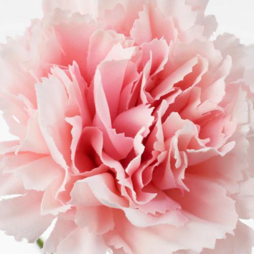 สมาชิกหมายเลข 4368856