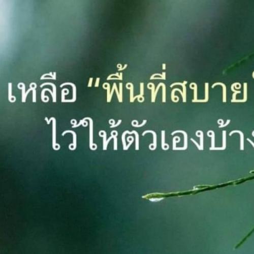 สมาชิกหมายเลข 6513722