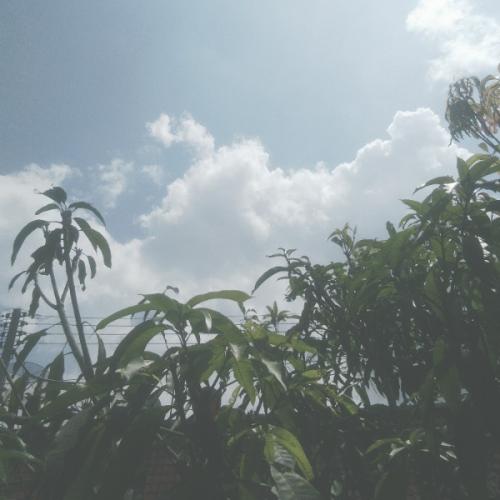 สมาชิกหมายเลข 6522408