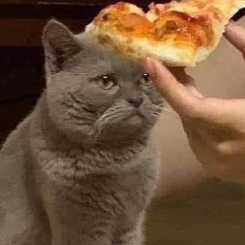 สมาชิกหมายเลข 6506136