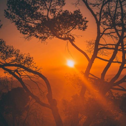 สมาชิกหมายเลข 7091887