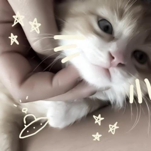 สมาชิกหมายเลข 8052265