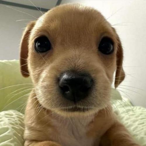 สมาชิกหมายเลข 1470461