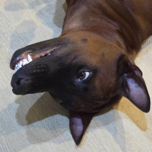 สมาชิกหมายเลข 1551037