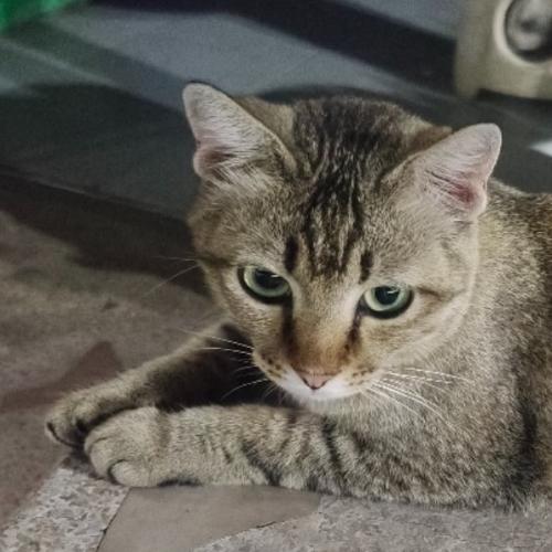 สมาชิกหมายเลข 3905112