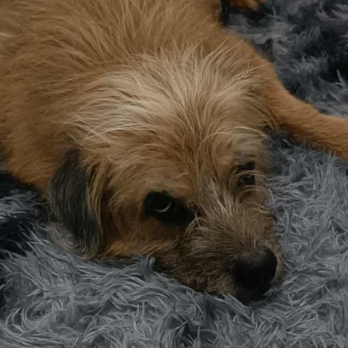 สมาชิกหมายเลข 9074547