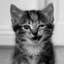 สมาชิกหมายเลข 3808095