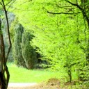 สมาชิกหมายเลข 2903109