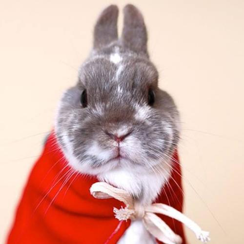 สมาชิกหมายเลข 4272575