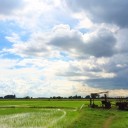 สมาชิกหมายเลข 4272593