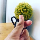 สมาชิกหมายเลข 4272790