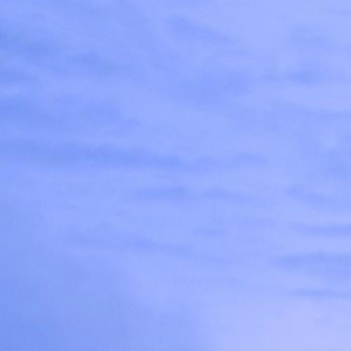 สมาชิกหมายเลข 3420186