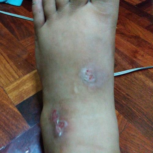 สมาชิกหมายเลข 4594220