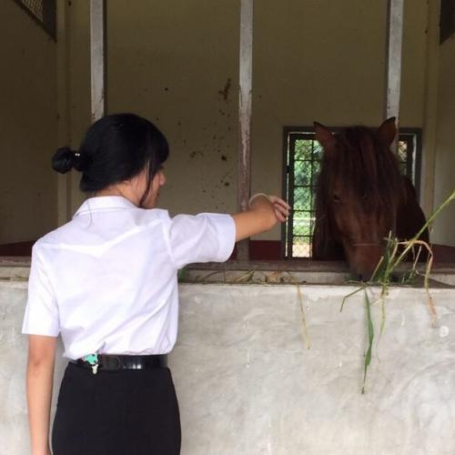 สมาชิกหมายเลข 3221253