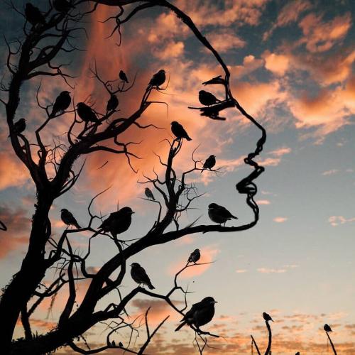 สมาชิกหมายเลข 4999254