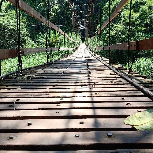 สมาชิกหมายเลข 5017768