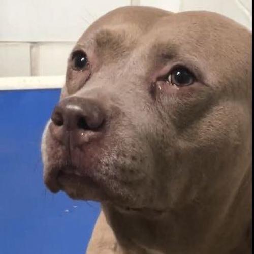 สมาชิกหมายเลข 3614413