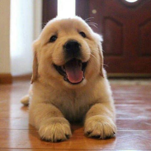 สมาชิกหมายเลข 5920240