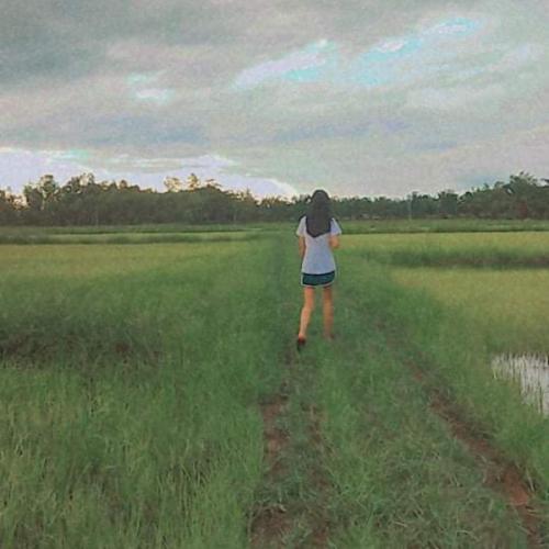 สมาชิกหมายเลข 6323510