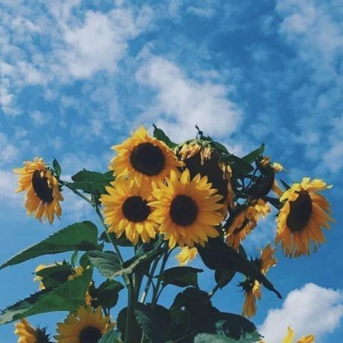 สมาชิกหมายเลข 6522936