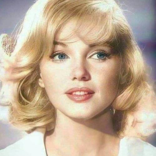 สมาชิกหมายเลข 7237389