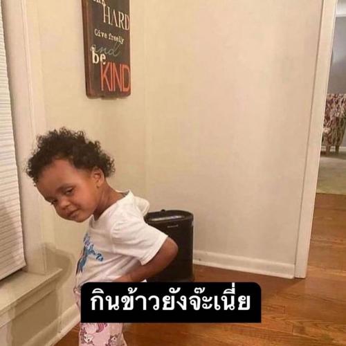 สมาชิกหมายเลข 7237878