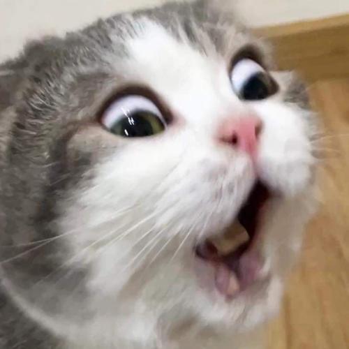 สมาชิกหมายเลข 8053294